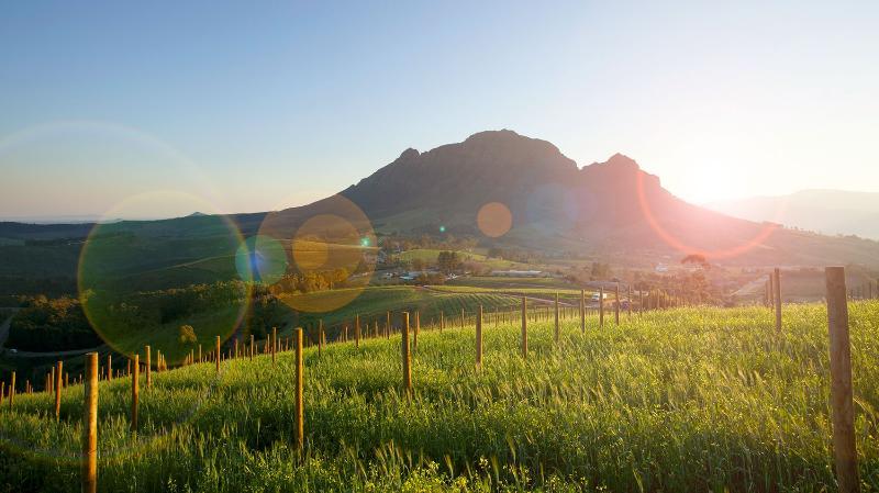 Delaire Graff Lodges And Spa Stellenbosch Eksteriør billede
